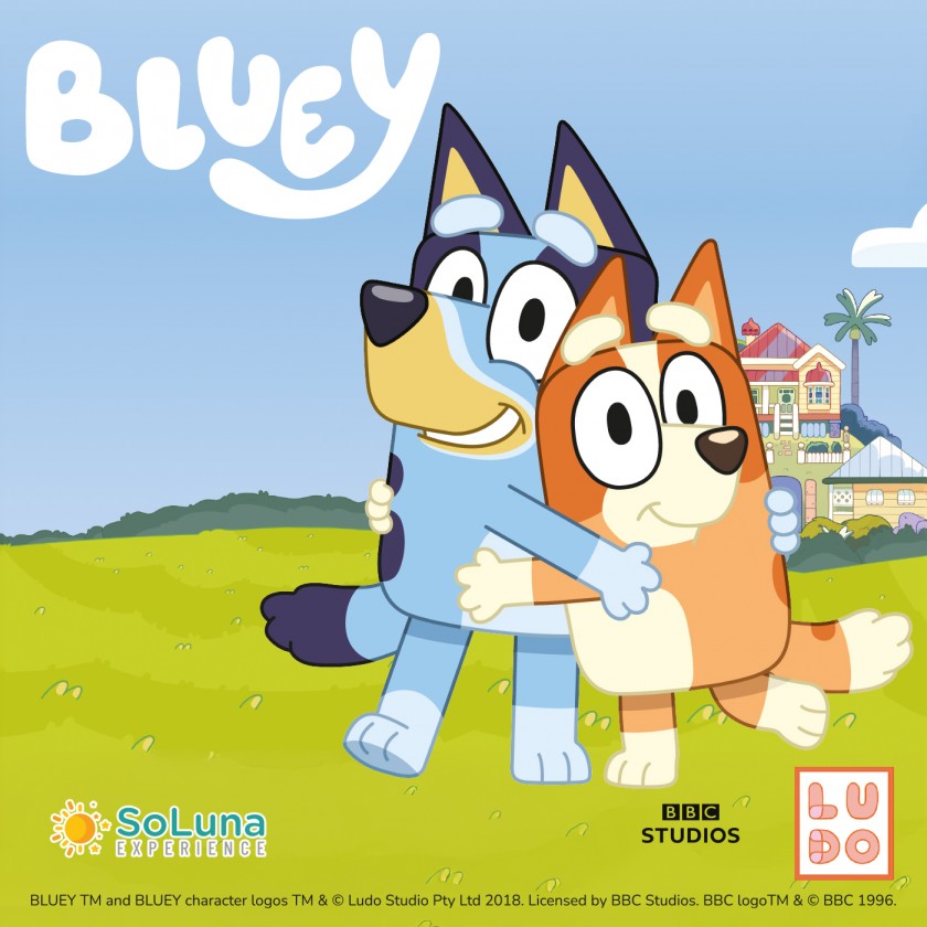 Bluey e Bingo